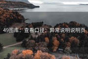 49图库：查看口径：异常说明说明页